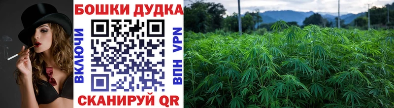 Купить наркоту Среднеуральск APVP Меф мяу мяу ГАШ Марихуана
